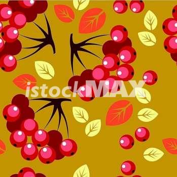 Vector. Seamless berry ornament  in colour