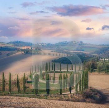 Cypress road throug sunny morning Tuscany valley, Italy