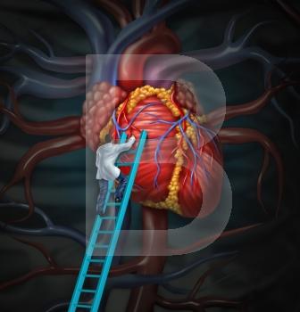 Heart doctor  therapy health care and medical concept with a surgeon or cardiologist  climbing a ladder to monitor and inspect  the human cardiovascular anatomy for a hospital diagnosis treatment.