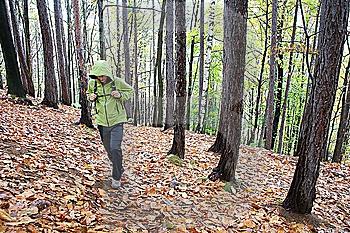 Hiker walks on a path in a woods. Raining day, fall season. Horizontal shape.