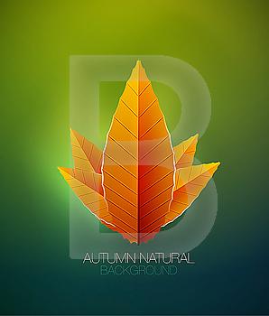 Vector autumn seasonal nature background with leaves