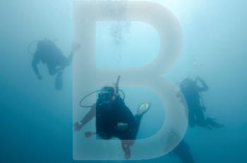 Scuba divers swimming underwater, San Cristobal Island, Galapagos Islands, Ecuador