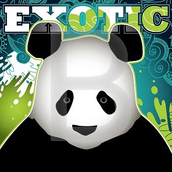 Designed exotic banner wtih panda