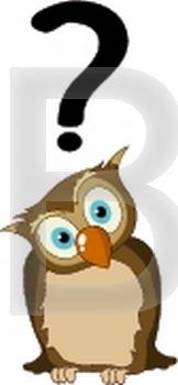 Stylized cartoon owl with question mark. isolated objects on white background.