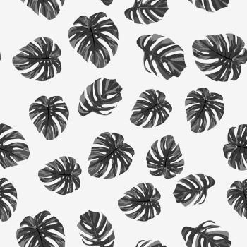 Grayscale tropical monstera leaves seamless pattern on the white background. Black white vector illustration