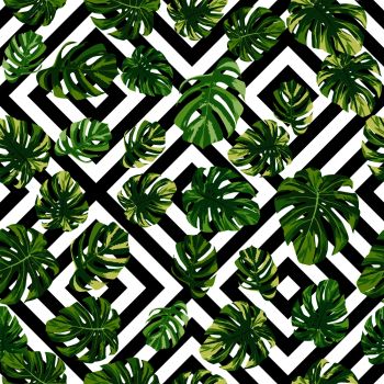 Green realistic tropical monstera leaves seamless pattern on the black white geometric background. Creative vector illustration