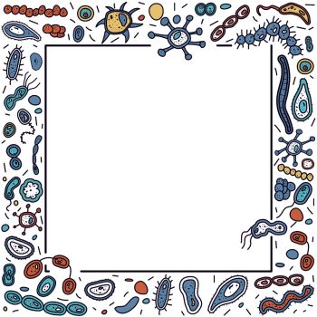 Square frame with different bacteria cells. Microorganism collection banner. Vector doodle style composition.