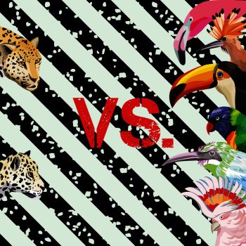Print a funny image of a battle of tropical birds vs leopards. Vector Wallpaper beach on a striped black and white background