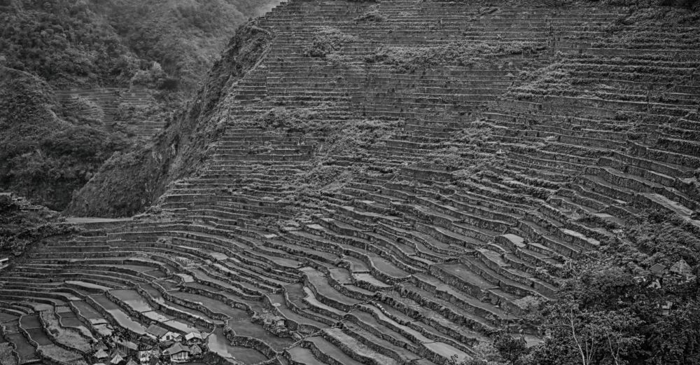 blur  in  philippines  terrace field for coultivation of rice  from banaue unesco site