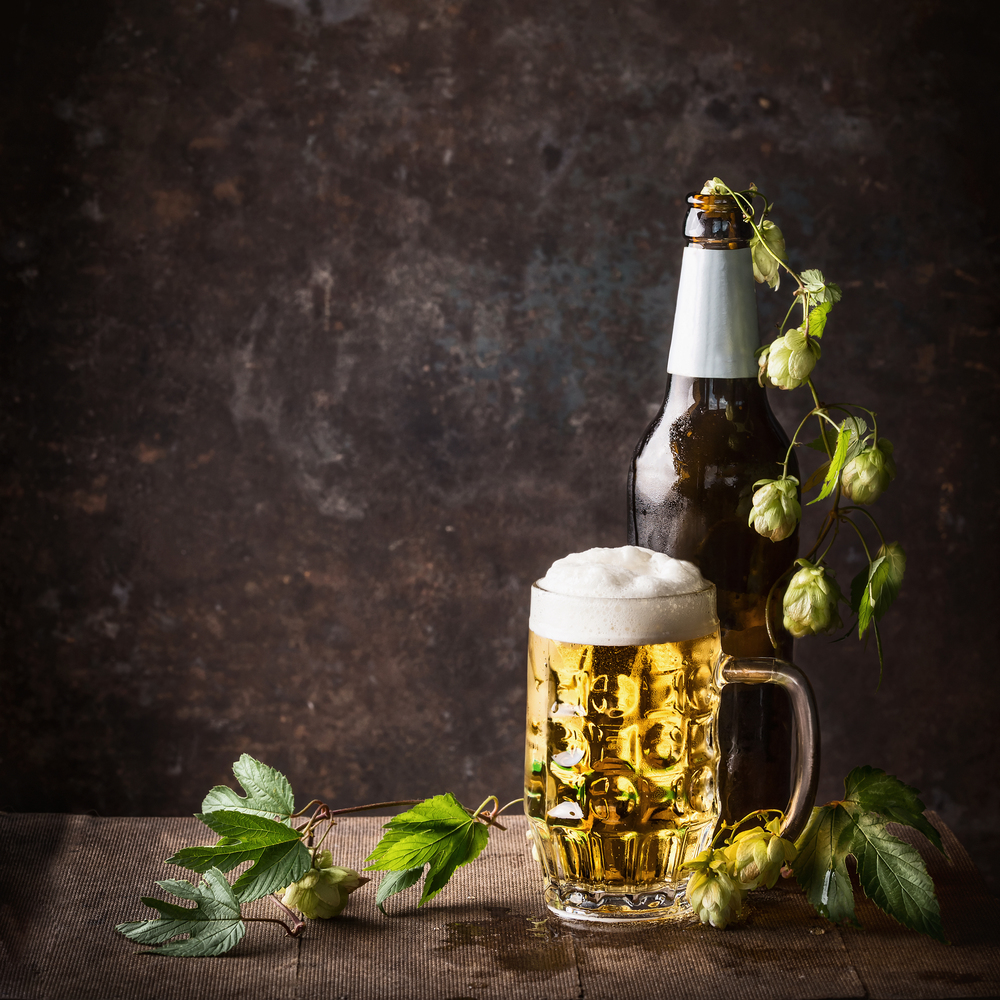 Glass bottles and mug of beer with cap of foam and hops on table at dark rustic background, front view, Still life , close up