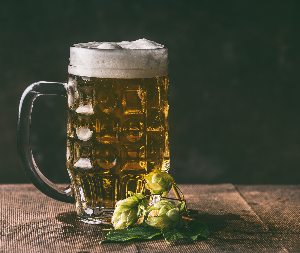Mug of beer and hops on dark rustic table background, front view, copy space. German style