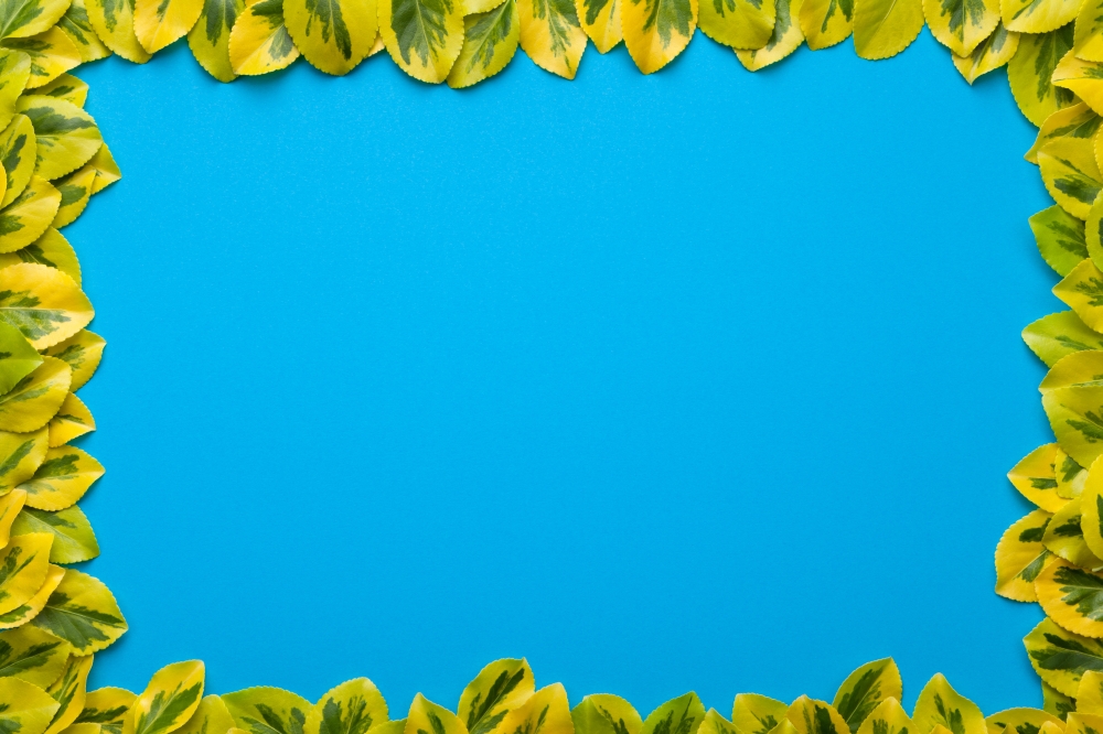Leaves frame on blue background. Flat lay. Copy space. Top view