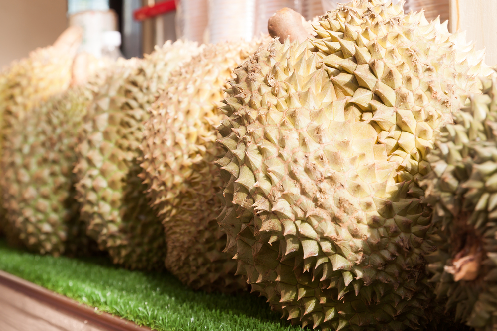 Durian fruits on the shelf, Durian is the king of fruit, Famous Asian fruit