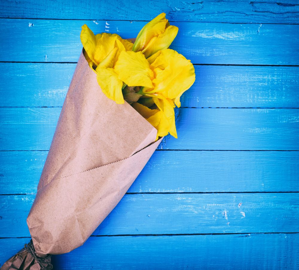 bouquet of yellow irises wrapped in brown kraft paper on a blue wooden background, a blank space on the right