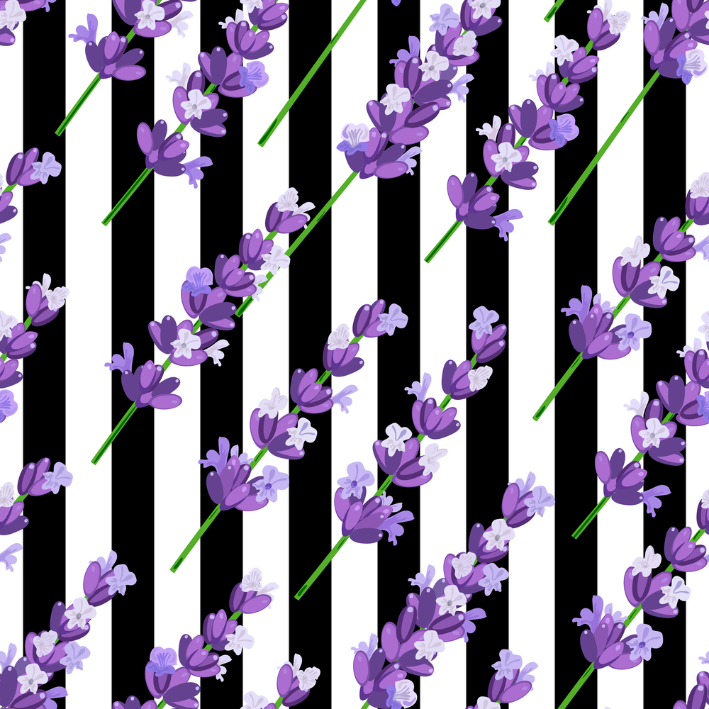 Seamless pattern of provence violet lavender flowers on black stripes. Vector illustration.. Seamless pattern of provence violet lavender flowers on black stripes. design for natural cosmetics, beauty store, health care products, perfume, essential oil. Can be used as wedding background.