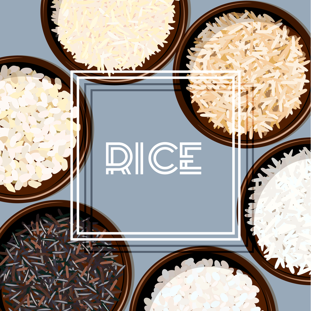 Different types of rice in bowls. Basmati, wild, jasmine, long brown, arborio, sushi. Different types of rice in bowls. Basmati, wild, jasmine, long brown, arborio, sushi. Kitchen bamboo mats. Vector illustration. square white frame For culinary fastfood restaurant