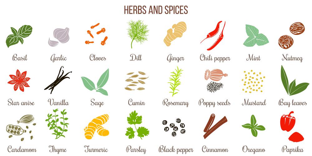 Big set of simple flat culinary herbs and spices . Silhouettes. Big vector set of popular fresh cooking herbs and spices silhouettes. Basil, coriander, cloves, ginger, mint, bay leaves, nutmeg, rosemary, sage, thyme, parsley oregano dill Culinary mix collection
