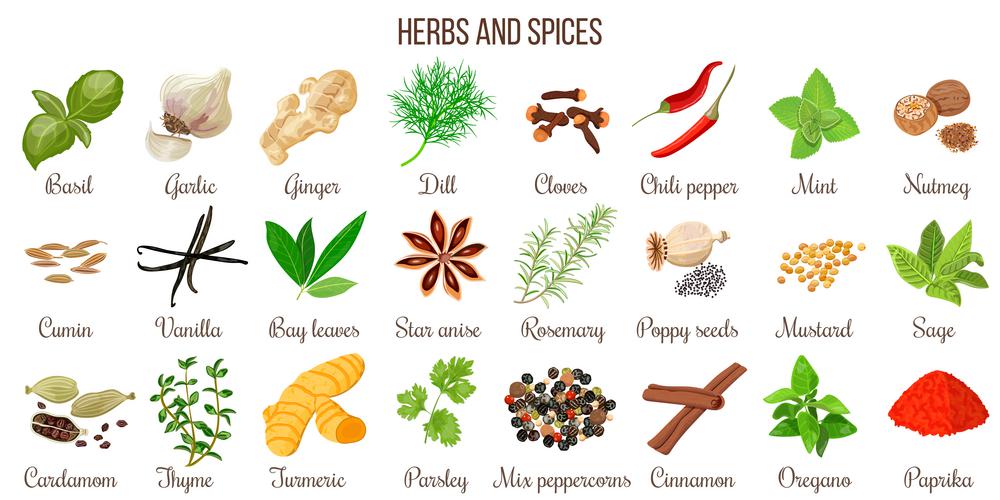 Big vector set of popular culinary herbs and spices. Big vector set of popular culinary herbs and spices. Ginger, chili pepper, garlic, nutmeg, anise etc. For cosmetics, store, spa, natural health care. Can be used as logo design, price tag, label