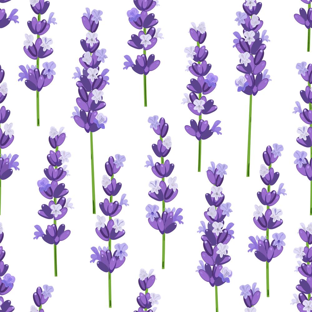 Seamless pattern of provence violet lavender flowers on a white background. design for natural cosmetics, beauty store, health care products, perfume, essential oil. Can be used as wedding background.