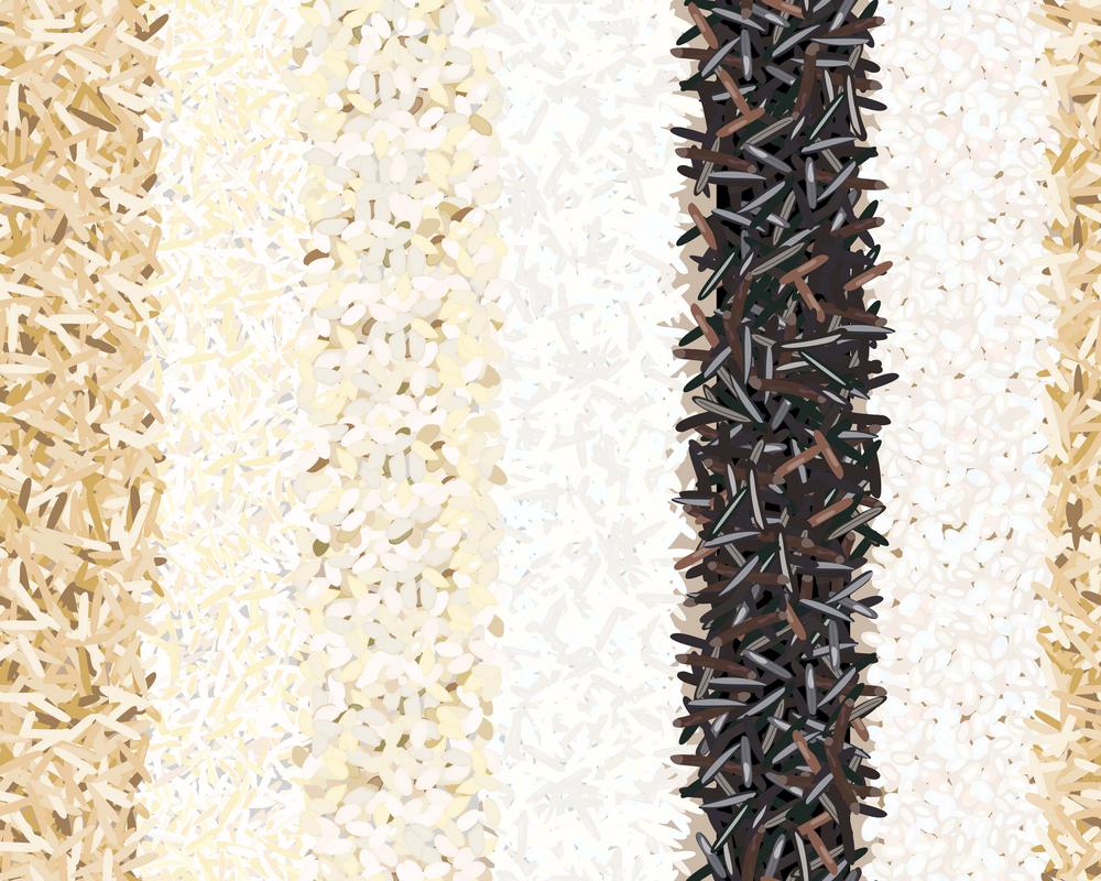 Different types of rice seamless pattern. Basmati, wild, jasmine, long brown, arborio, sushi. Six Stripes. Different types of rice seamless pattern. Basmati, wild, jasmine, long brown, arborio, sushi. Six Stripes. for poster, cooking, culinary prints textile decoration fastfood restaurant template