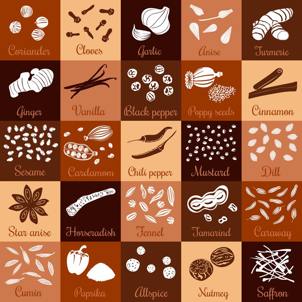 Spices hand drawn vector big icon squared set. Spices hand drawn vector squared icon big set with names. Popular cooking spices chili pepper, cinnamon, cloves, cumin, dill, garlic, mustard, paprika, Poppy, star anise, vanilla black pepper