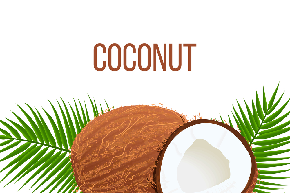 Whole and cracked Ripe coconuts and palm leaves. place for text. label template. Tropical Vector illustration. Idea for logo. Whole and cracked Ripe coconuts and palm leaves. place for text. label template. Tropical Vector illustration. Idea for logo, label, perfumery, cosmetics, drinks, health care