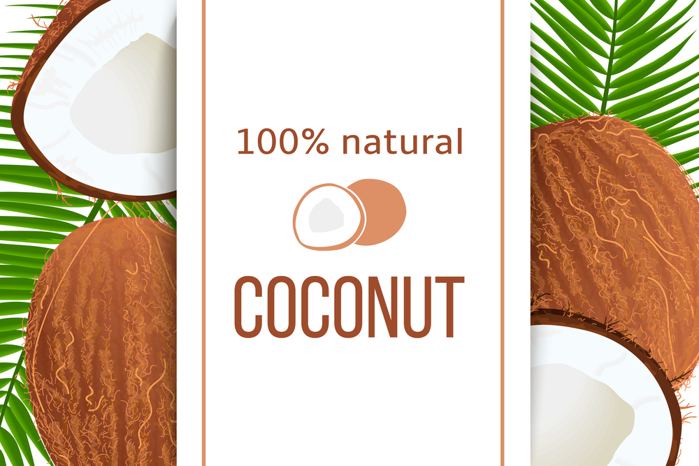 Whole and cracked Ripe coconuts and palm leaves with stripe text 100 percent natural. Vertical label. Tropical Vector illustration. Idea for logo, label, perfumery, cosmetics, drinks, health care. Whole and cracked Ripe coconuts and palm leaves with stripe text 100 percent natural. Vertical label. Tropical