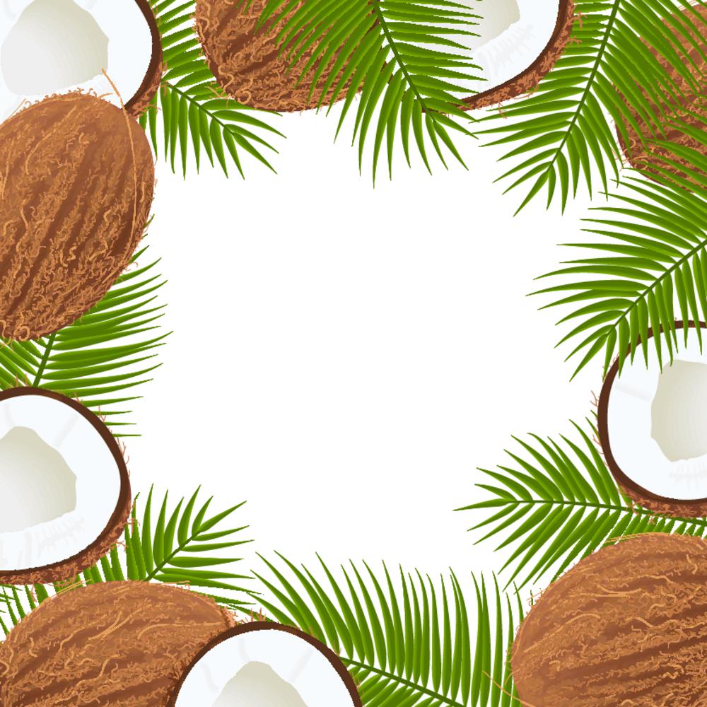 Whole and cracked Ripe coconuts and palm leaves frame. Central place for text. label template. Tropical Vector illustration. Idea for logo, label, perfumery, cosmetics, drinks, health care. Whole and cracked Ripe coconuts and palm leaves frame. Central place for text. label template. Tropical