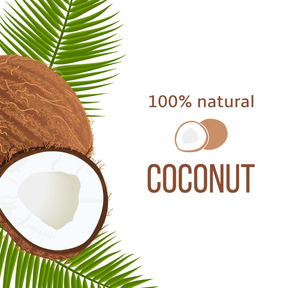 Whole and cracked Ripe coconuts and palm leaves with stripe text 100 percent natural. Vertical label. Tropical Vector illustration. Idea for logo, label, perfumery, cosmetics, drinks, health care. Whole and cracked Ripe coconuts and palm leaves with stripe text 100 percent natural. Vertical label. Tropical