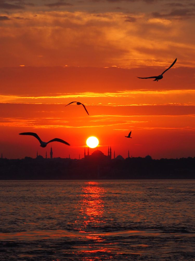 steamboat in Istanbul with seagulls at golden sunset