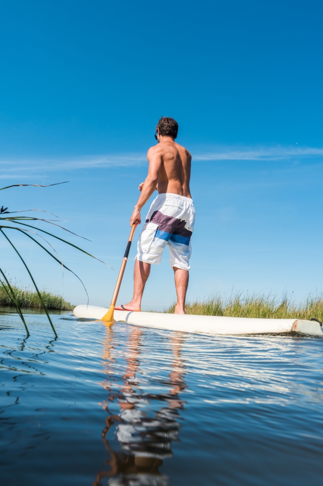 Man stand up paddleboarding on lake. Young man doing watersport on lake. Male tourist in swimwear during summer vacation.