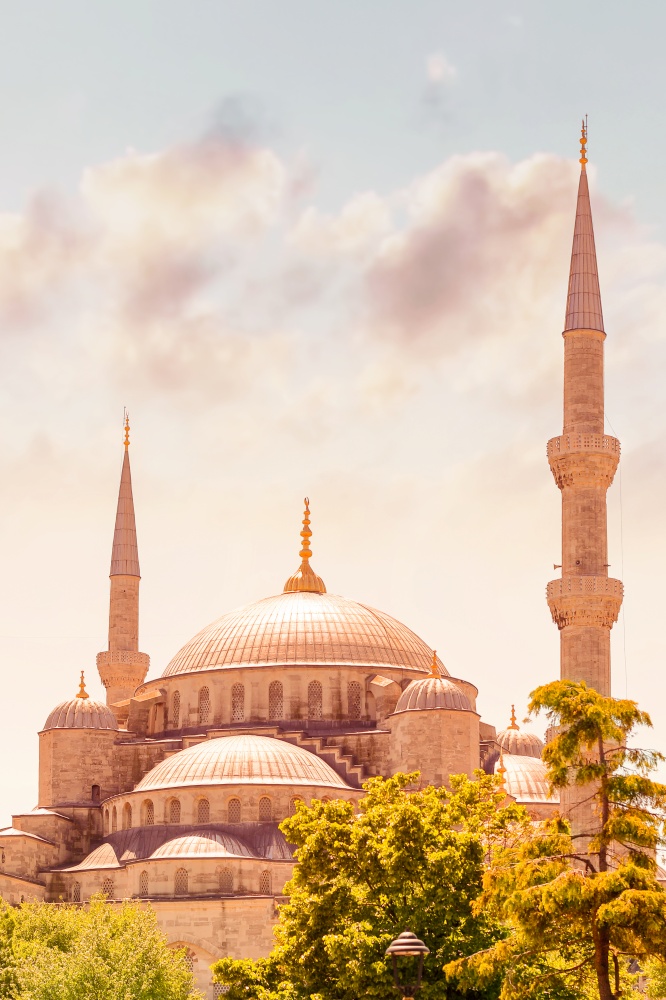 Blue mosque of Istanbul or The Sultan Ahmed Mosque, famous religious landmark, great touristic place, Turkey
