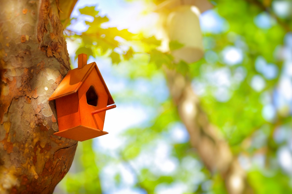 Closeup photo of a cute little nesting box on a tree trunk in a park, handmade house for birds, fauna protection, let&rsquo;s help nature together, save Planet Earth