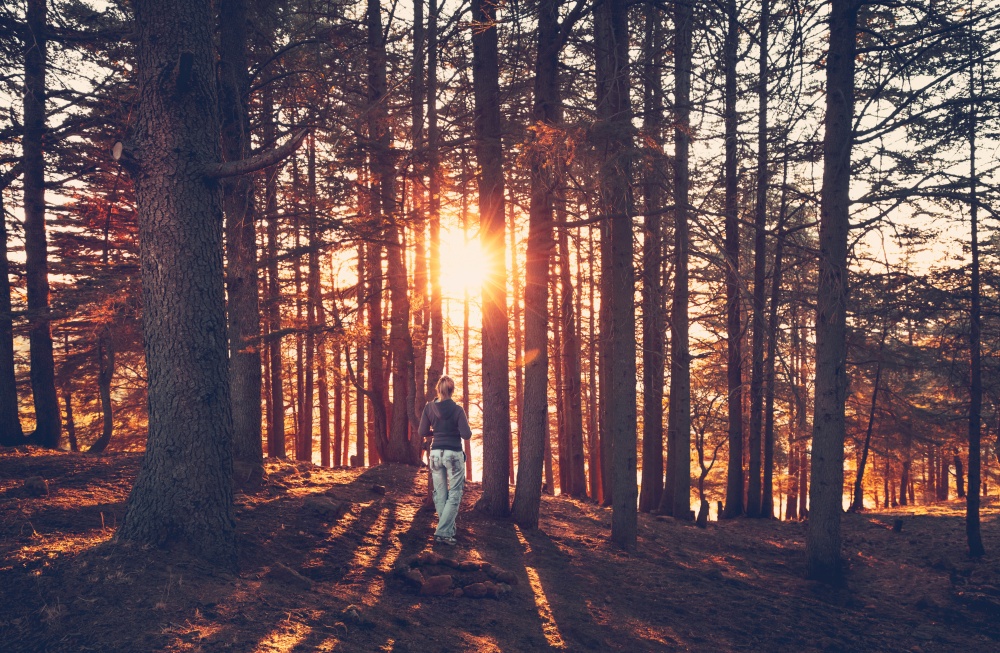 Woman walking in the forest, enjoying beautiful view on bright sun rays  break through tree trunks, amazing autumn nature, peaceful walk in fall forest