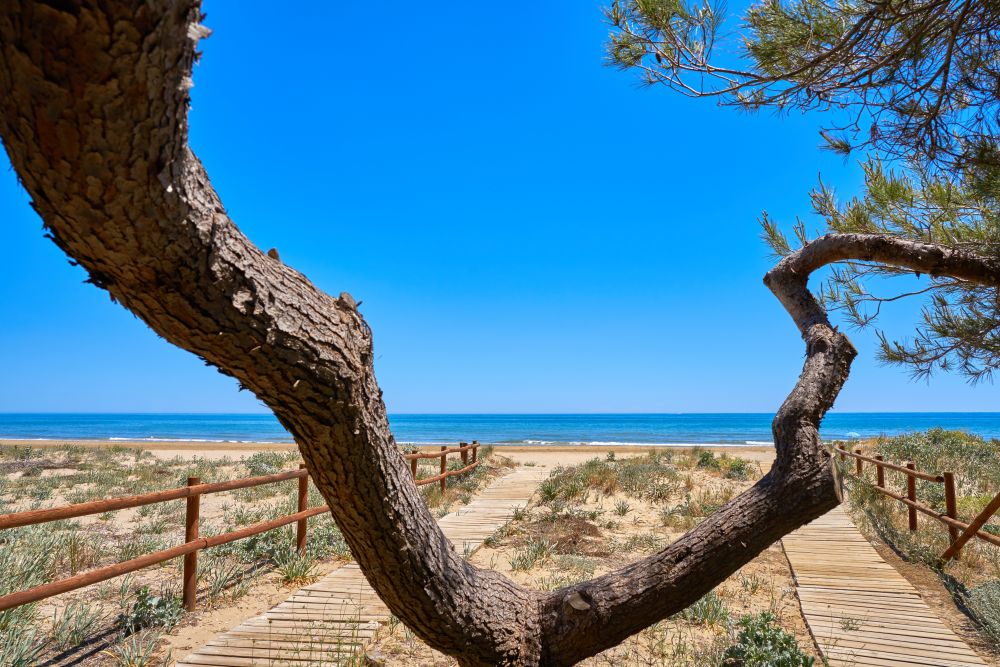 Romana beach playa in Alcossebre also Alcoceber in Castellon of Spain
