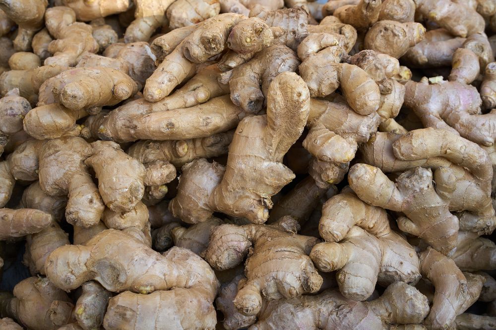 Ginseng ginger roots background pattern in market