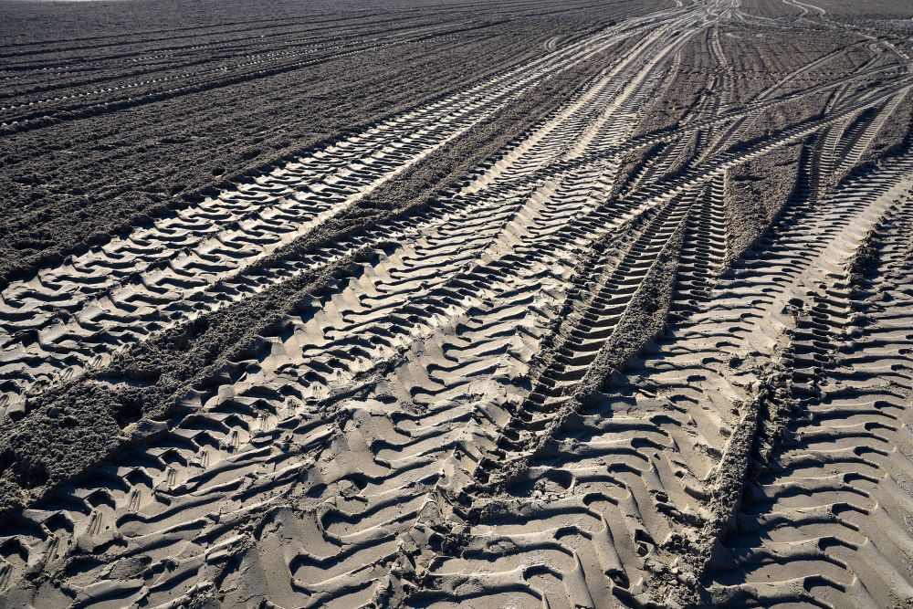 tractor tire tracks prints on beach sand after cleaning