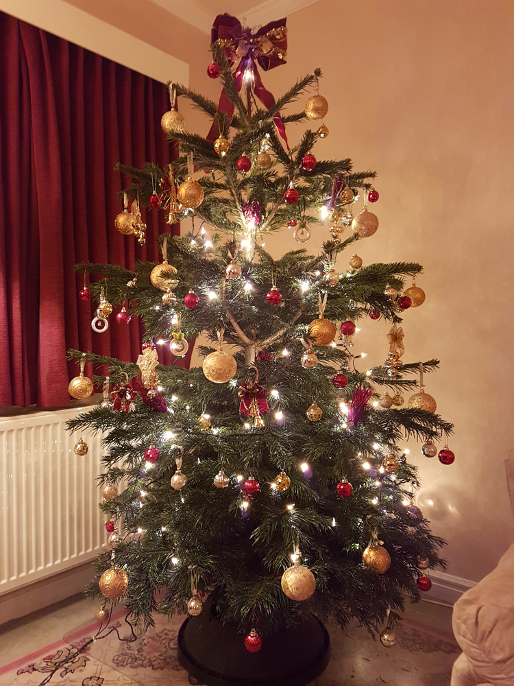 Christmas tree with fairy lights