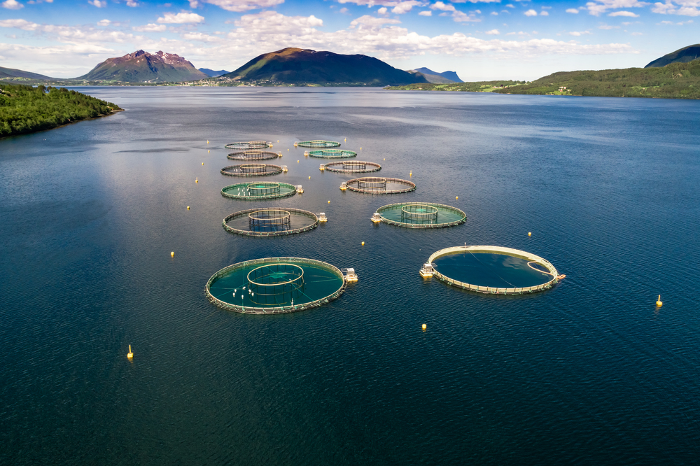 Farm salmon fishing in Norway aerial photography.