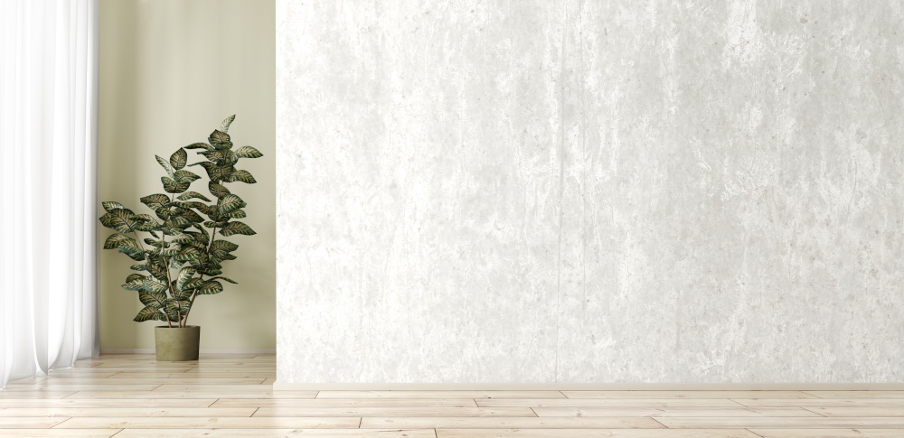Empty interior background, room with concrete wall, plant and window 3d rendering