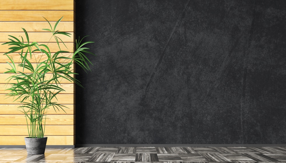 Empty room interior background, wooden boards paneling and black concrete stucco mockup wall, wooden flooring, pot with grass. Copy space. 3d rendering