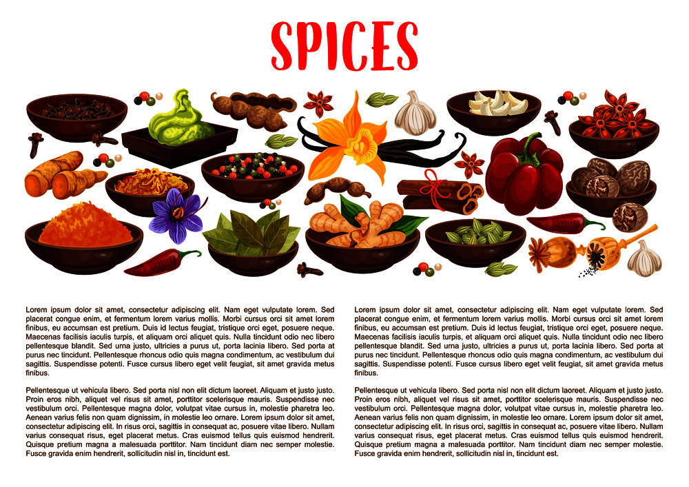 Spices banner with aroma food condiments and spicy seasoning border. Pepper, chili and ginger, cinnamon, vanilla and star anise, nutmeg, cardamom and bay leaf, garlic, saffron, turmeric and wasabi. Spices, condiments and food seasoning banner