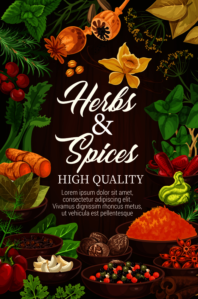 Organic spices and herbal seasonings in bowls, cooking design. Vector vanilla, poppy seeds and red chili pepper, ginger root or celery and wasabi with basil or dill and parsley. Herbs and spices, organic seasonings