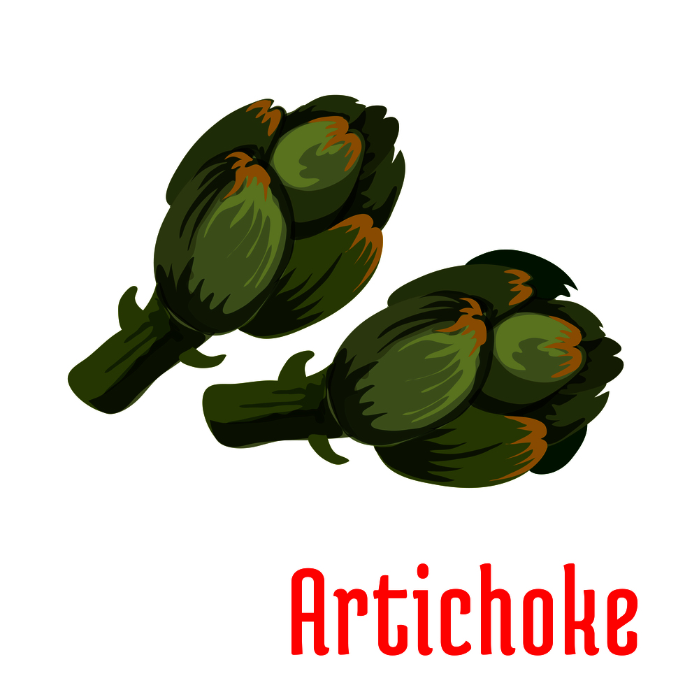 Fresh artichoke vegetable icon of healthy and tasty buds with dark green scales. Vegetarian salad, diet nutrition, agriculture harvest themes design. Fresh green artichoke vegetable icon