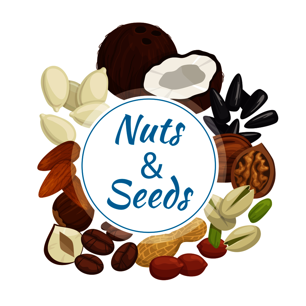 Nuts, seeds and beans round banner with peanut, almond, hazelnut, pistachio, roasted coffee beans, walnut, coconut, sunflower and pumpkin seeds. Healthy nuts, seeds and beans round badge
