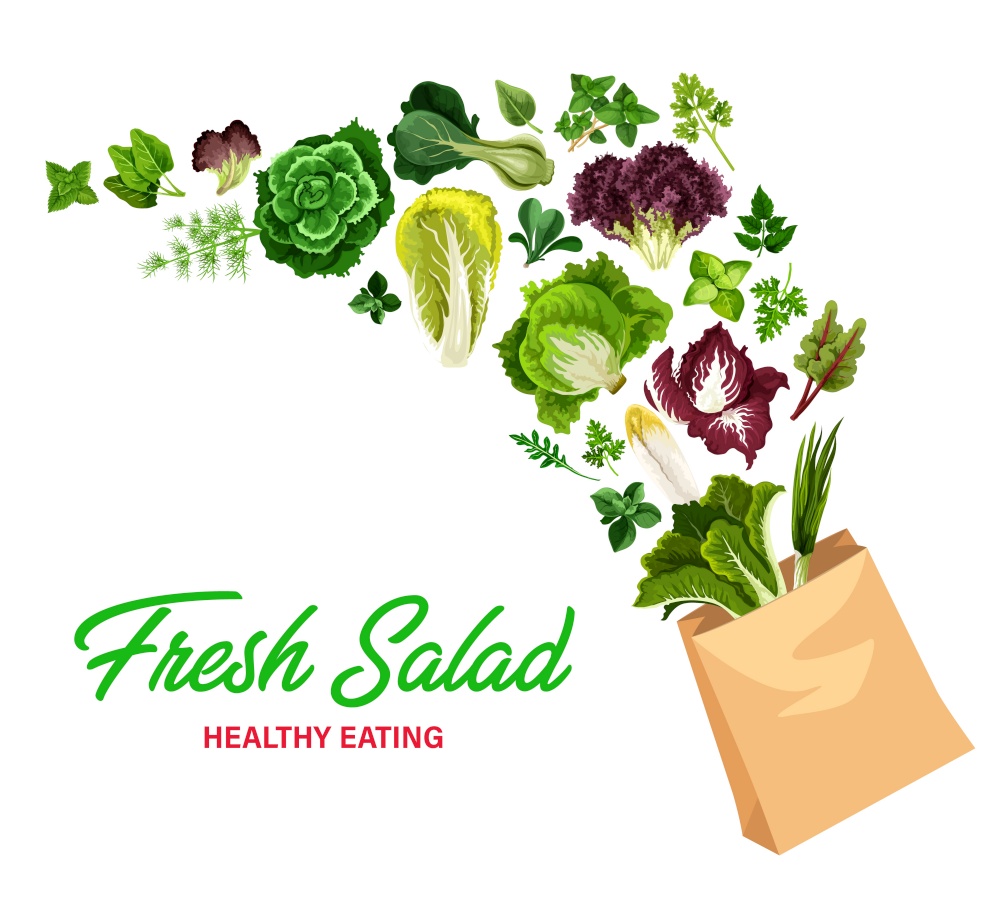 Greenery salads and fresh greens, vector lettuces in shopping bag. Arugula, chicory and spinach, watercress, collard and mangold leaf salads, farm garden cilantro and romanesco vegetables raw food. Greenery salads and greens in vector shopping bag