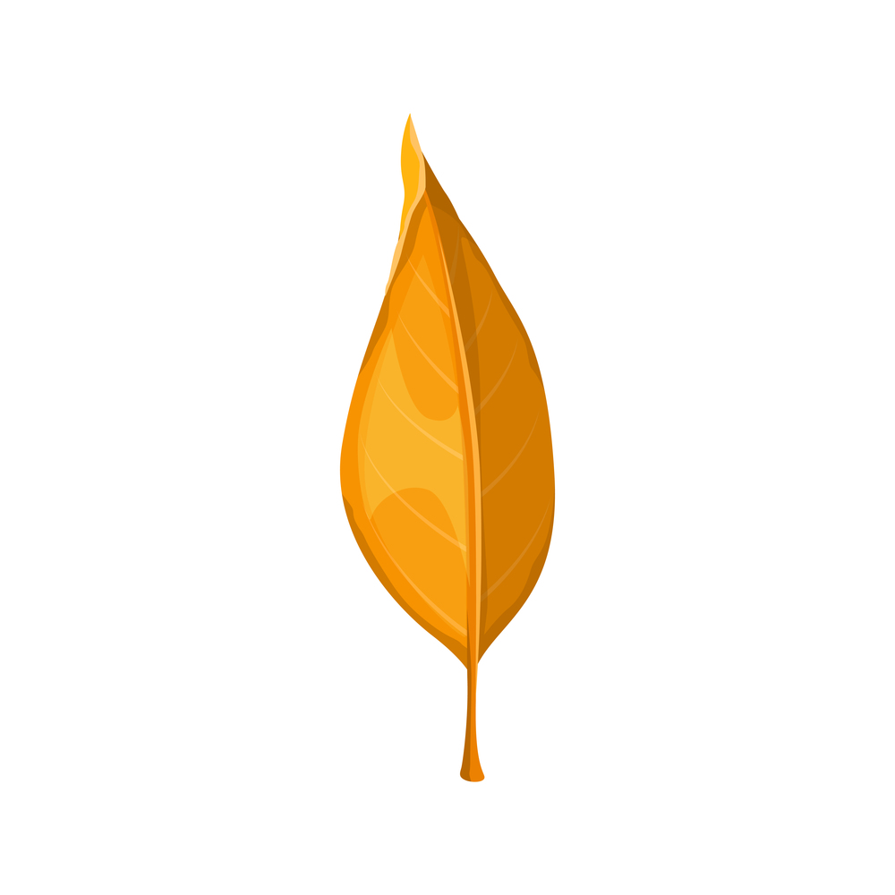 Autumn leaf yellow, fall isolated icon, vector orange leaves of dry tree. Autumn foliage, forest brown leaf of willow, ash or elm, laurel or osier and sallow tree, September season nature plants fall. Autumn leaf yellow, fall isolated orange leaves