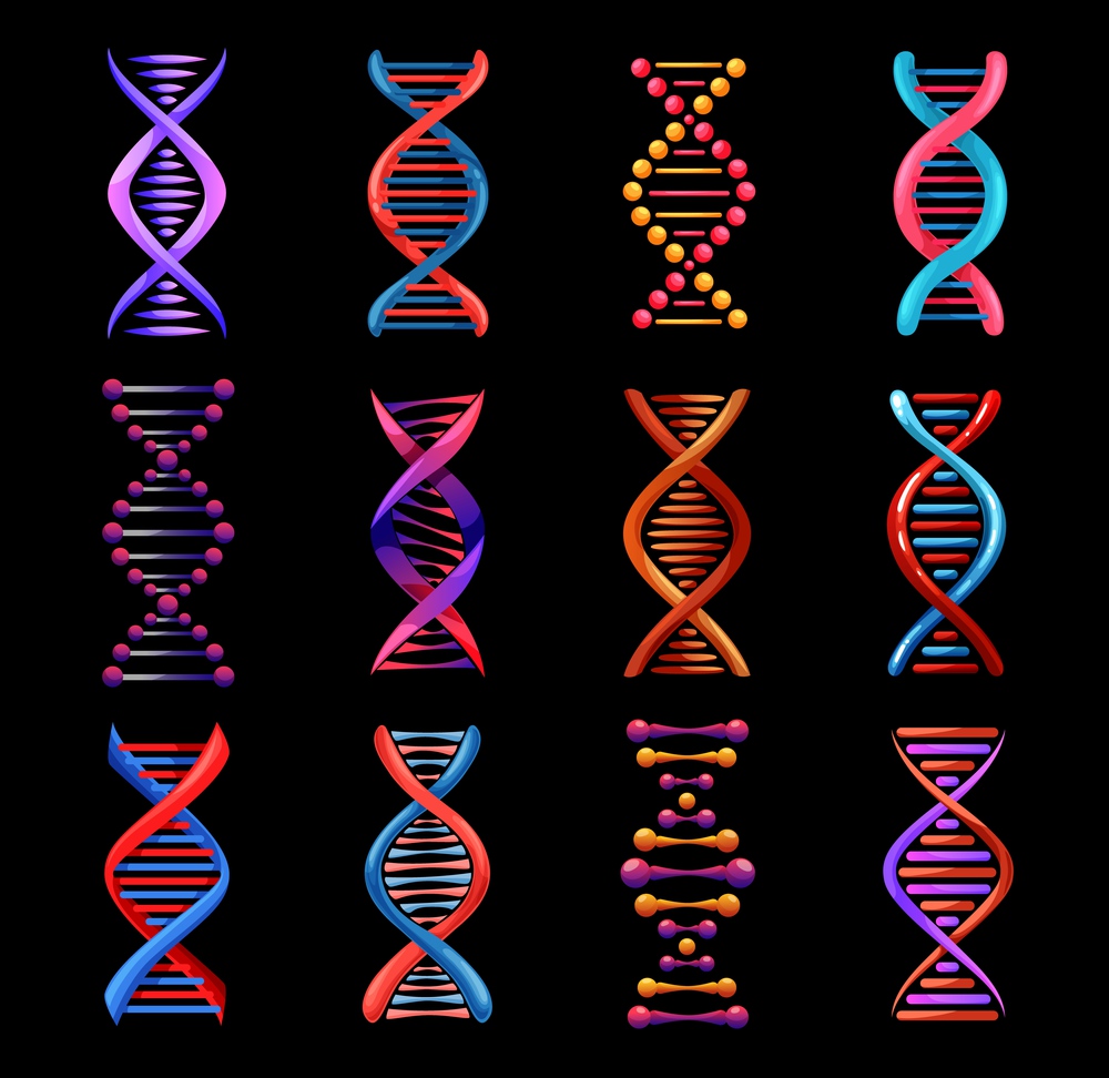 DNA helix isolated icons, vector genetics medicine and biotechnology science. Gene legacy double strands of DNA molecules, human genome evolution, gene cell and chromosome chain symbols. DNA helix isolated icons, genetics medicine
