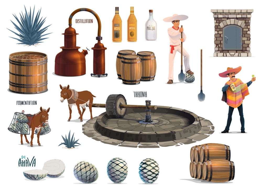 Mexican tequila alcohol drink production process. Vector agave harvesting, cooking in brick oven, extraction with tahona and donkey, fermentation and distillation with pot stills, aging and bottling. Mexican tequila alcohol drink production process