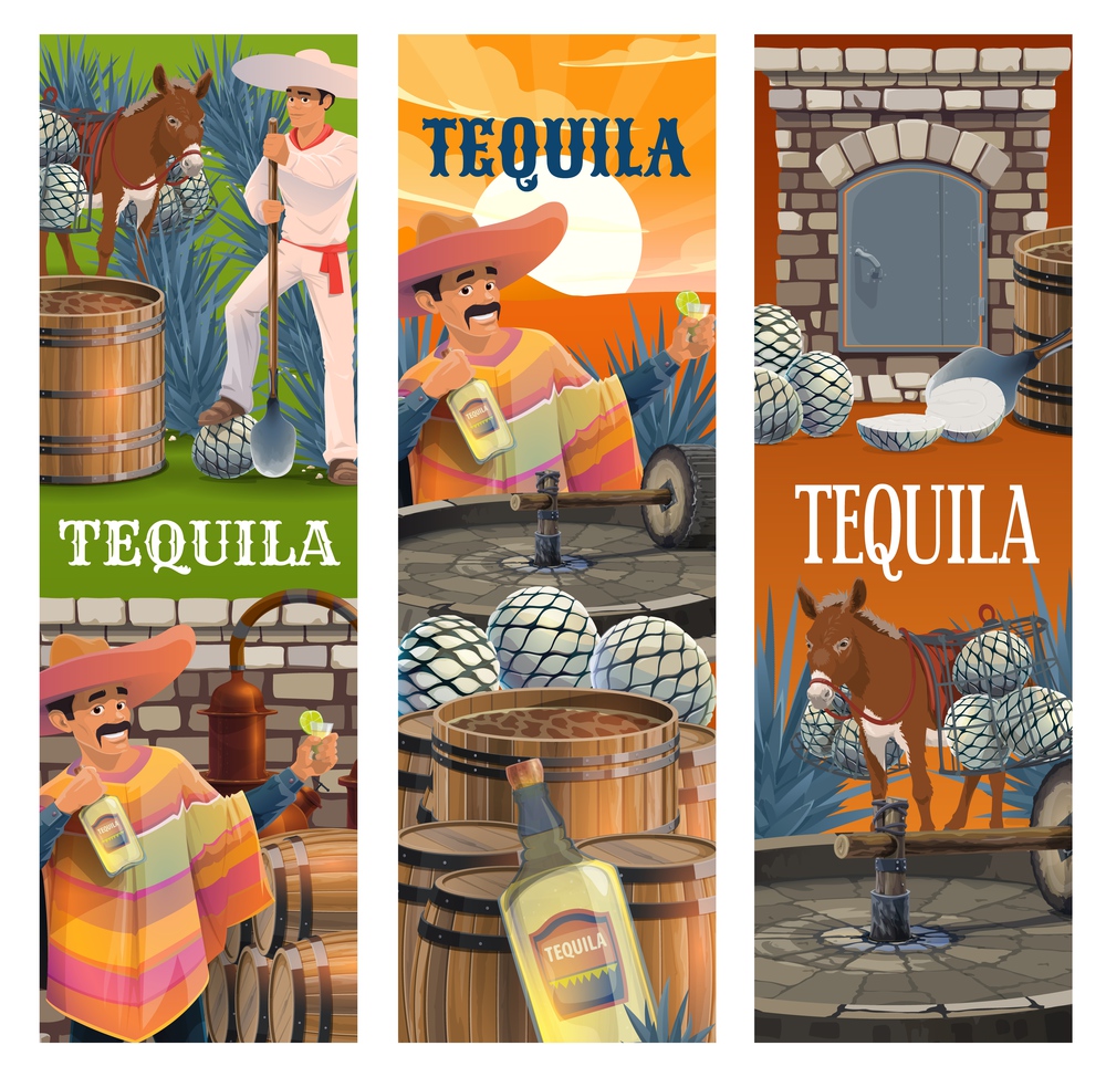 Tequila Mexican alcohol drink production banners, vector. Mexican man in sombrero and poncho with bottle of blue agave, tequila production farm, jimador worker, production process. Tequila Mexican alcohol agave drink production
